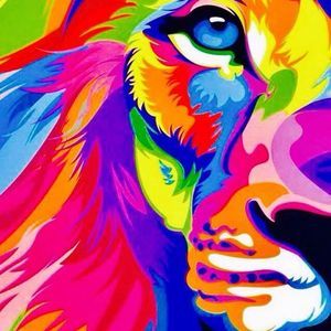 Meet your Posher, Noah